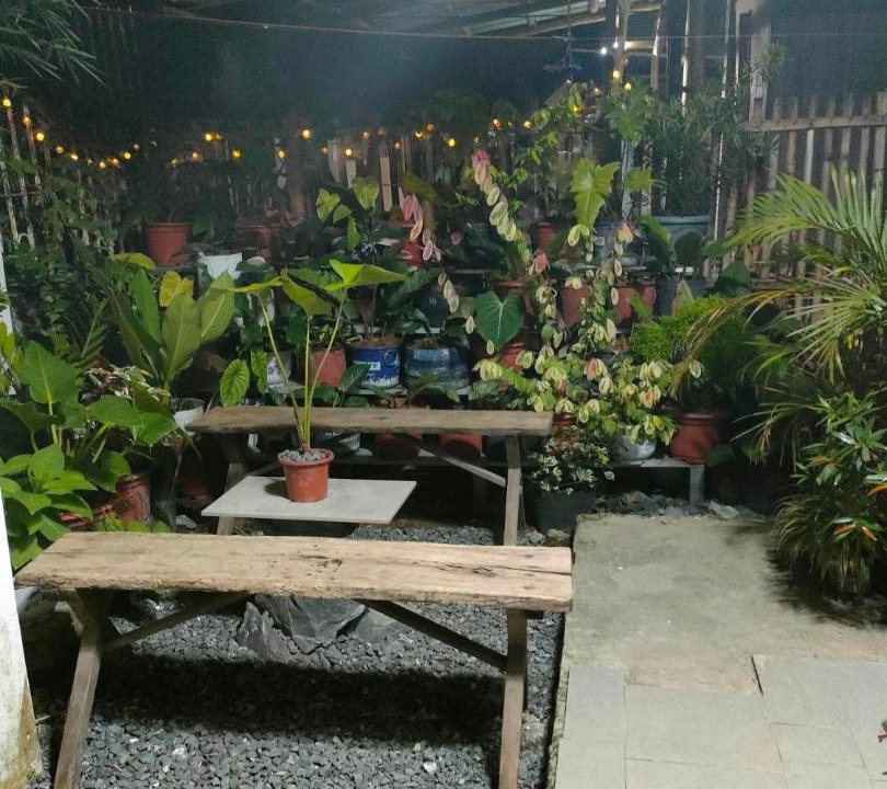 Photo of Others in Roxas City