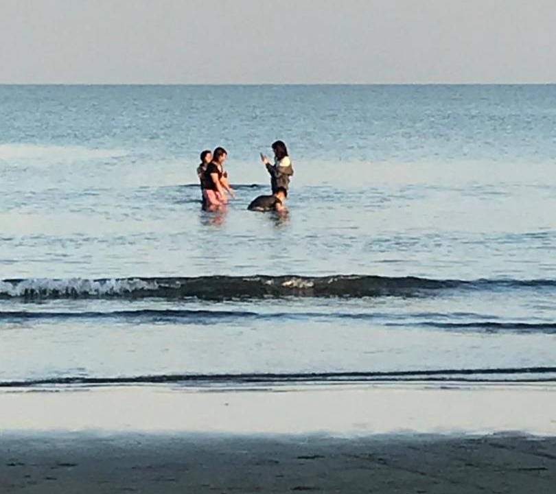 Photo of Human In Picture in San Fabian