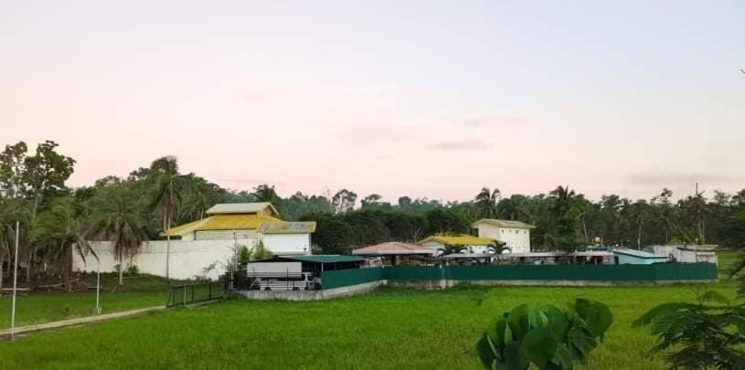 Photo of Others in Corella
