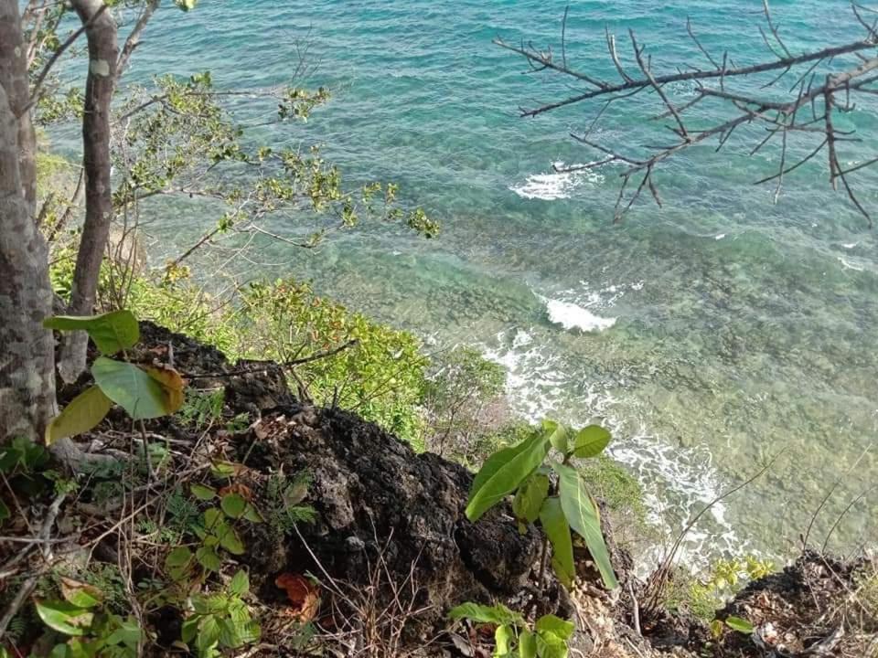 Photo of Others in Maria