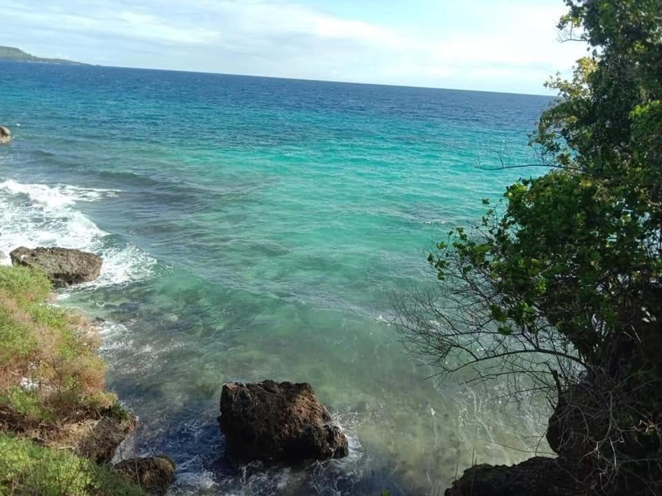 Photo of Others in Maria