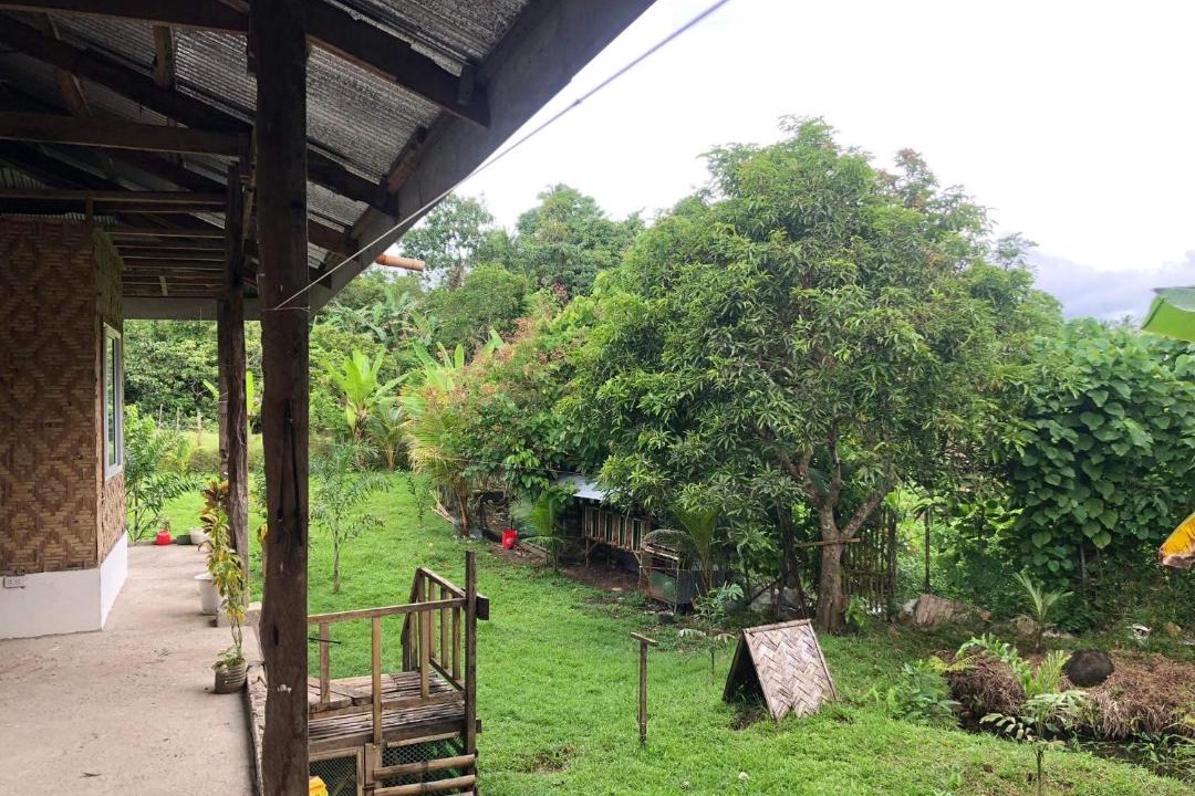 Photo of Others in Jaro