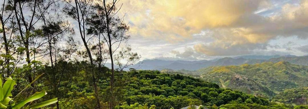 Photo of Others in Tanay