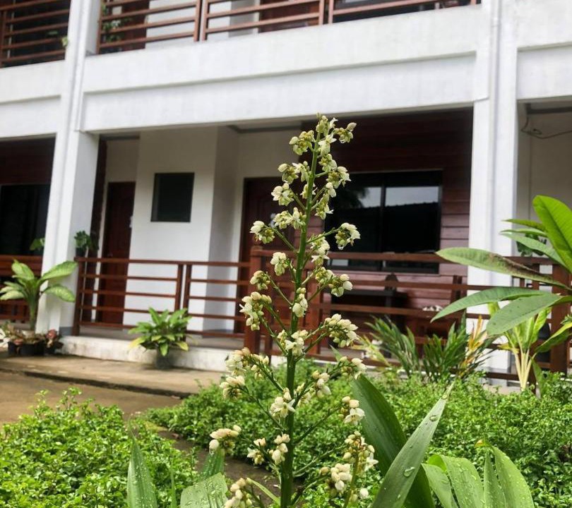 Photo of Buildings in Siquijor