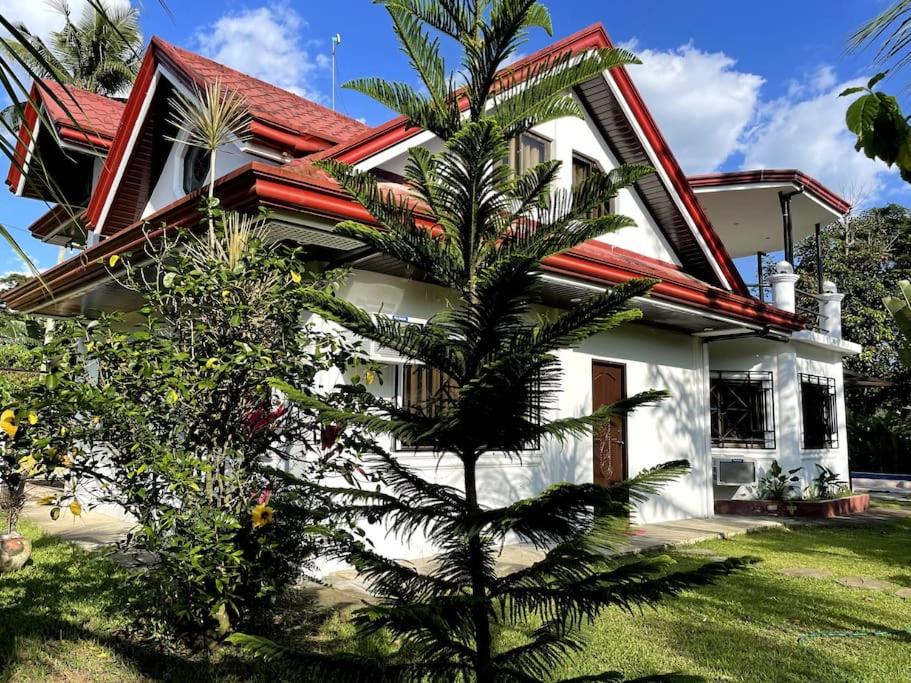 Photo of Buildings in Anilao