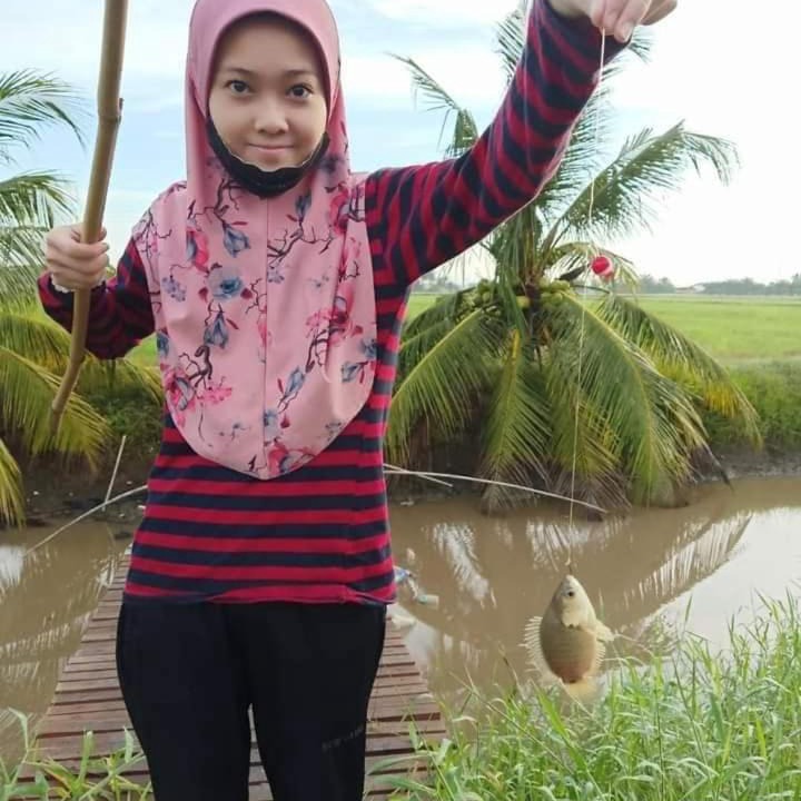 Photo of Human In Picture in Sabak Bernam District