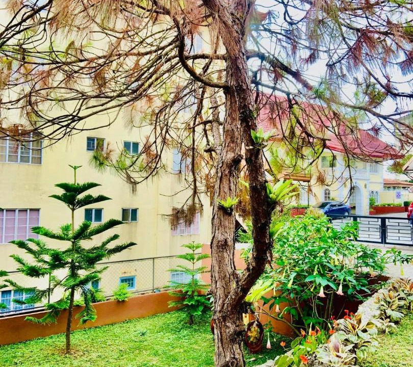 Photo of Others in Baguio