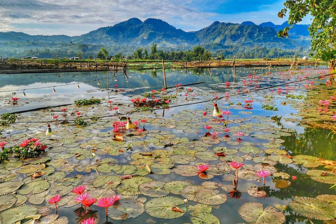 Photo of Others in Lake Sebu