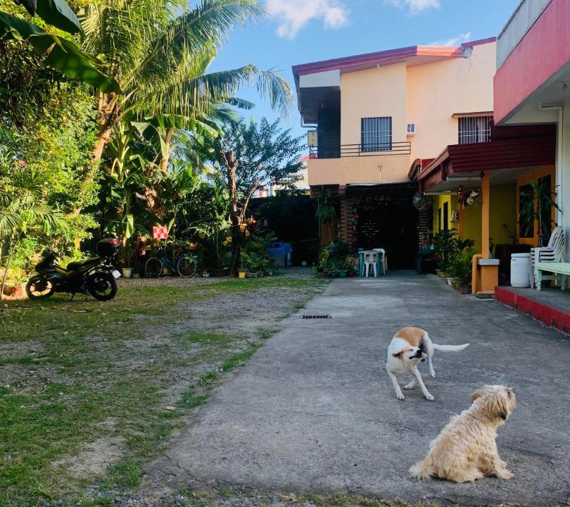 Photo of Others in Rizal Province