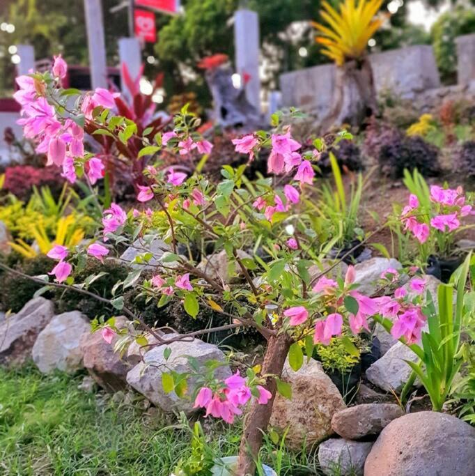 Photo of Others in Nasugbu