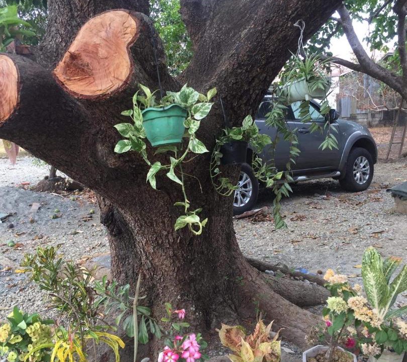 Photo of Others in Alaminos