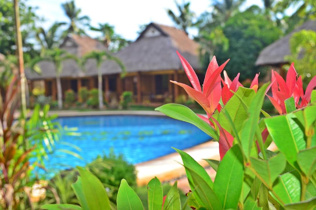Photo of Outdoor in Looc