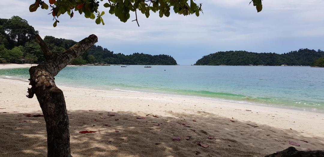 Photo of Others in Teluk Nipah