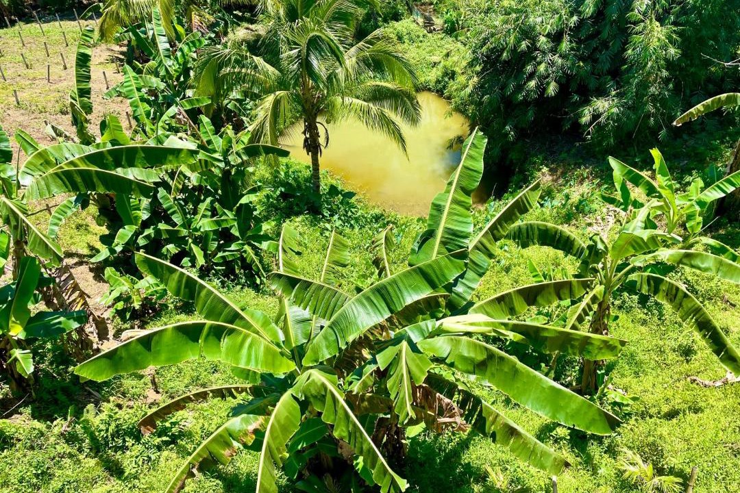 Photo of Outdoor in Wao