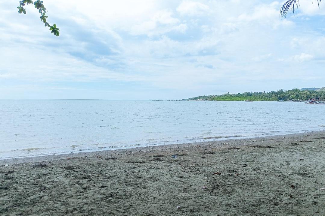 Photo of Others in Sindangan