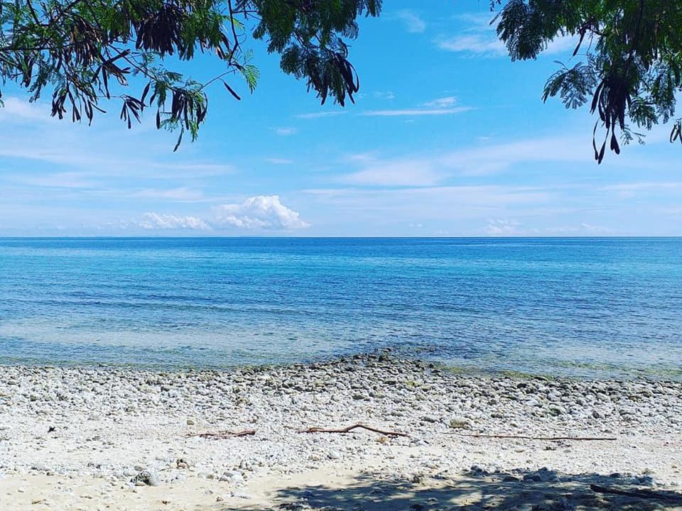 Photo of Others in Oslob