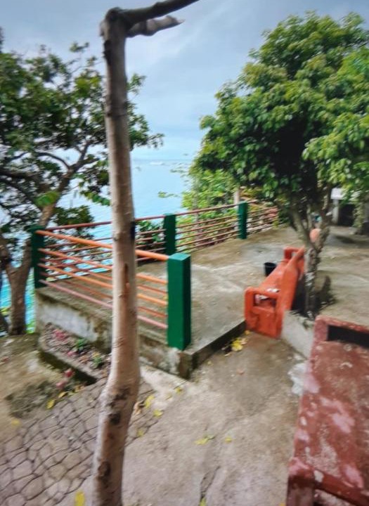 Photo of Others in Oslob
