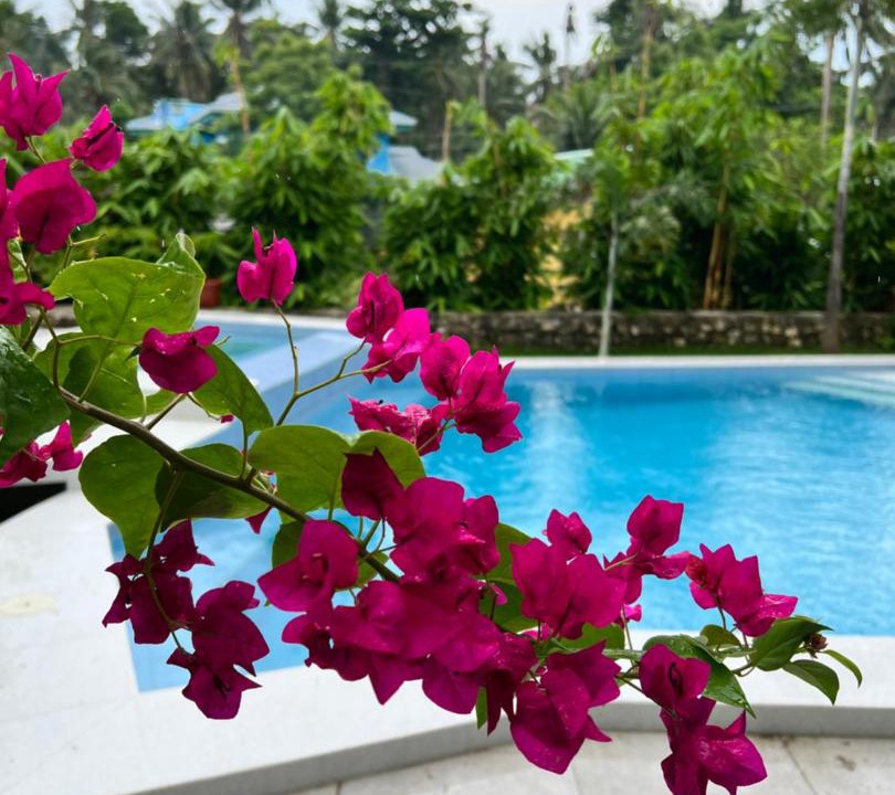Photo of Others in Panglao
