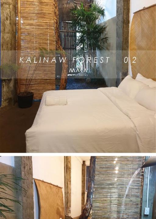 Photo of Others in Alfonso