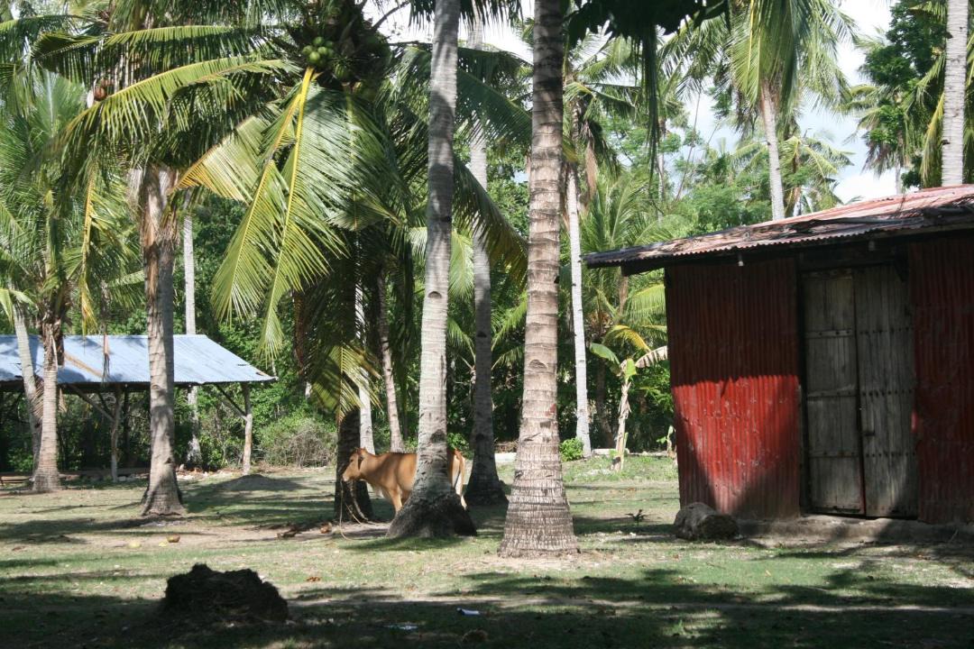 Photo of Others in Bantayan Island