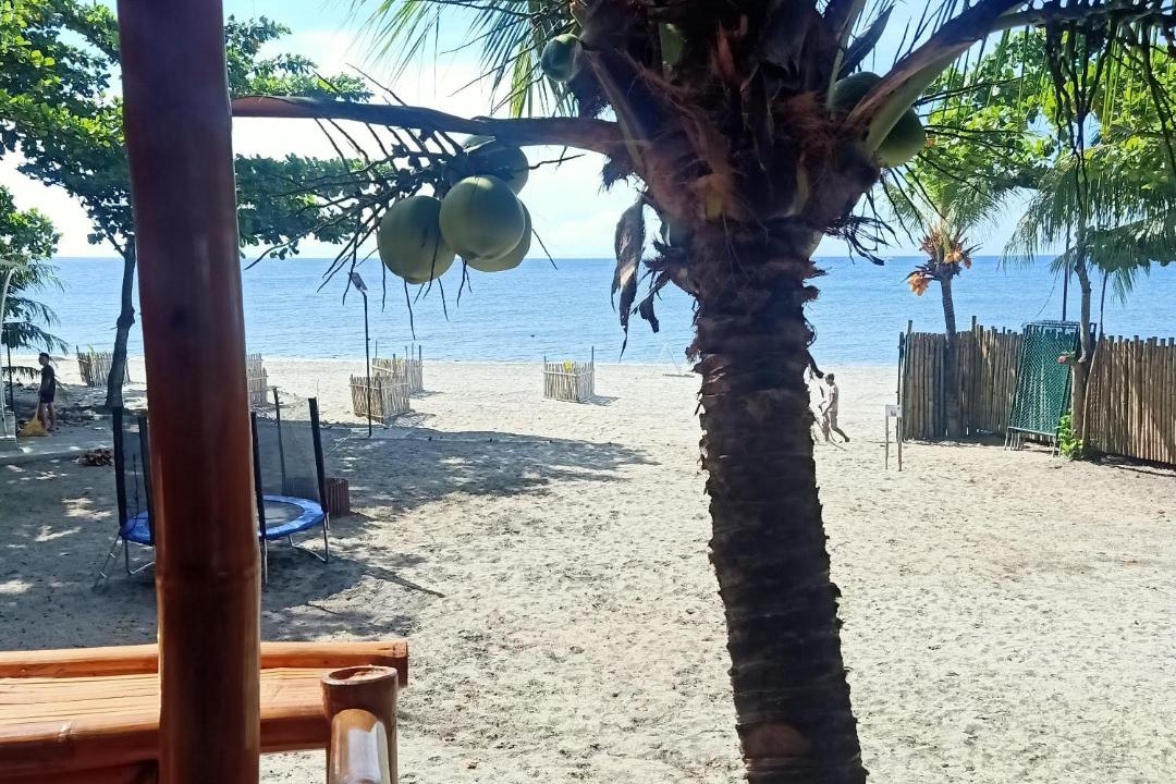 Photo of Others in Zamboanguita