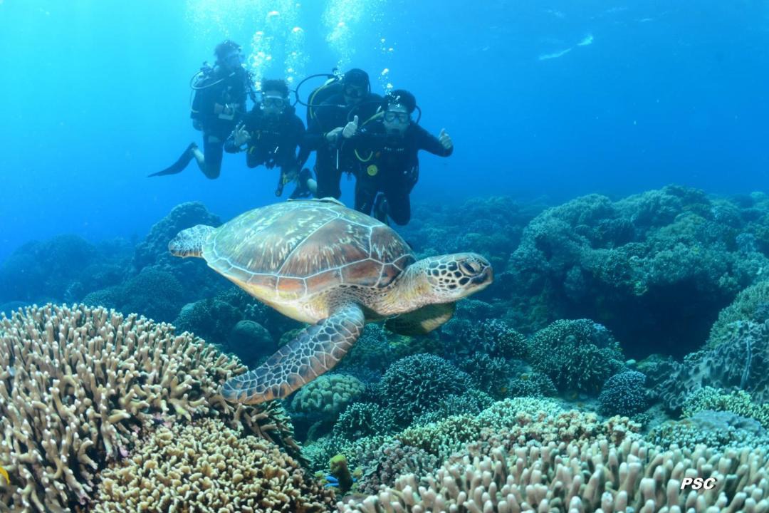 Photo of Outdoor in Zamboanguita