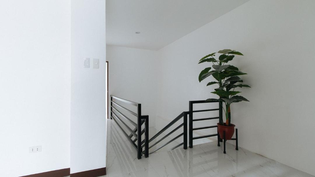 Photo of Others in Moonwalk