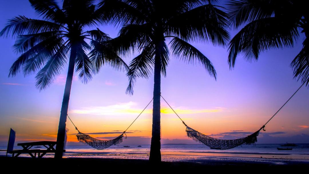 Photo of Others in Panglao