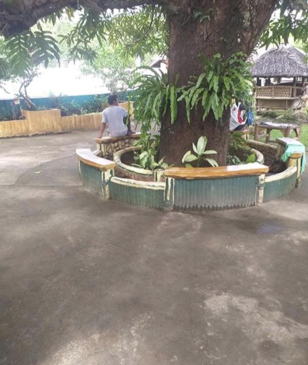 Photo of Others in Baganga