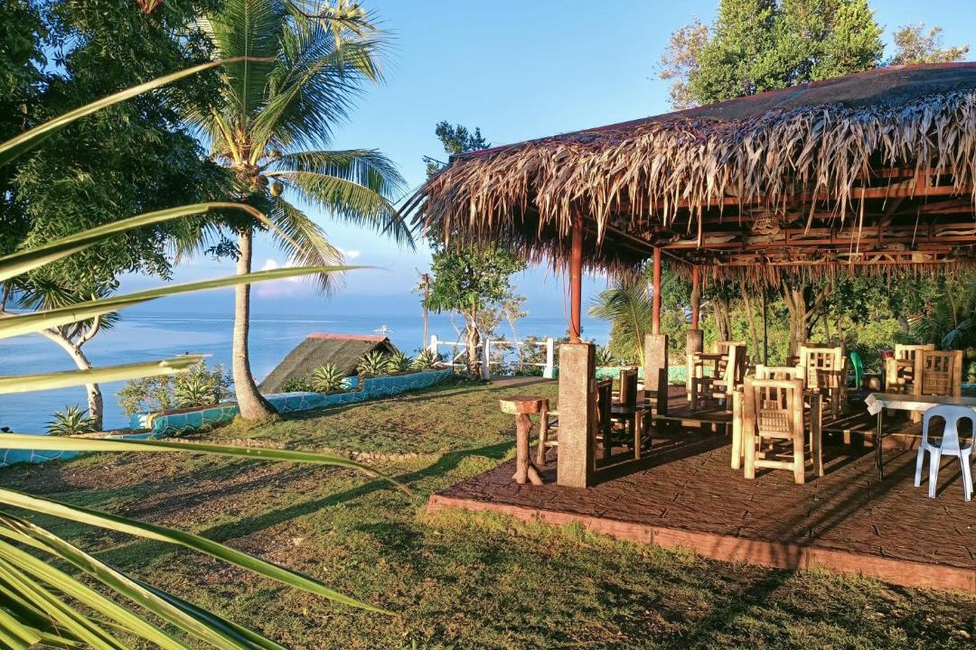 Photo of Others in Moalboal