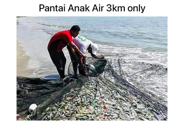 Photo of Others in Kampung Kempadang