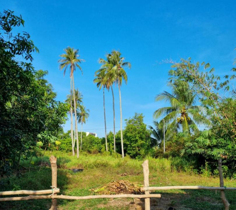 Photo of Others in Lubok Buaya