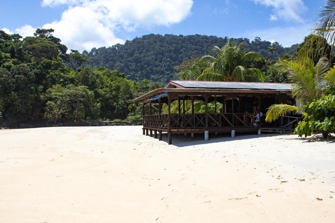 Photo of Others in Tioman Island