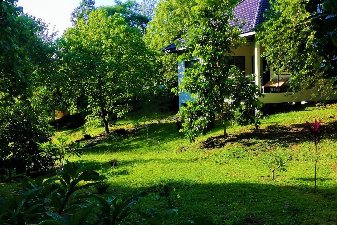 Photo of Others in Langkawi
