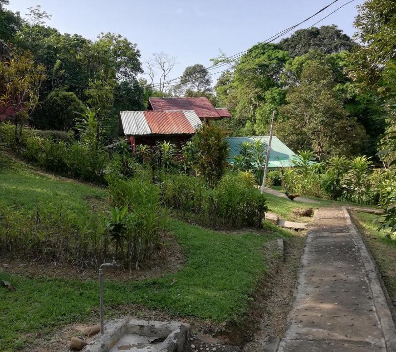 Photo of Others in Kuala Tahan