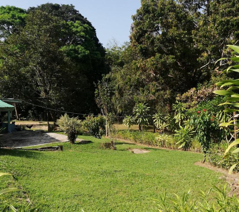 Photo of Others in Kuala Tahan
