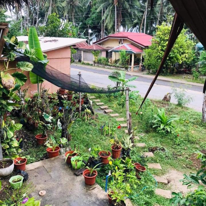 Photo of Others in Maria