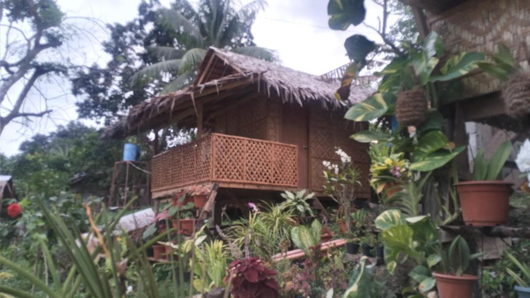 Photo of Buildings in Maria