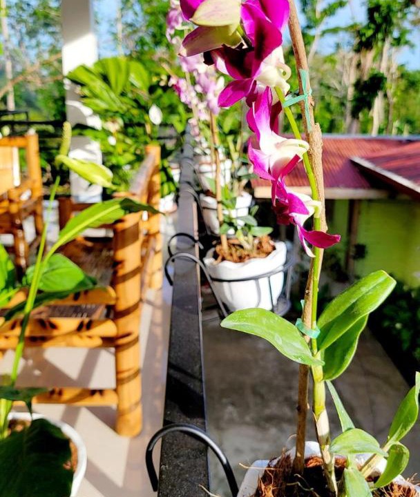 Photo of Patio Balcony in Carmen