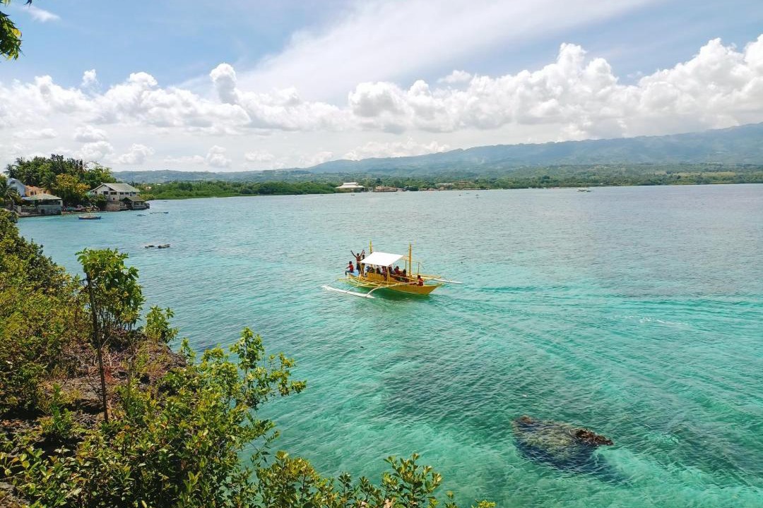 Photo of Others in Moalboal