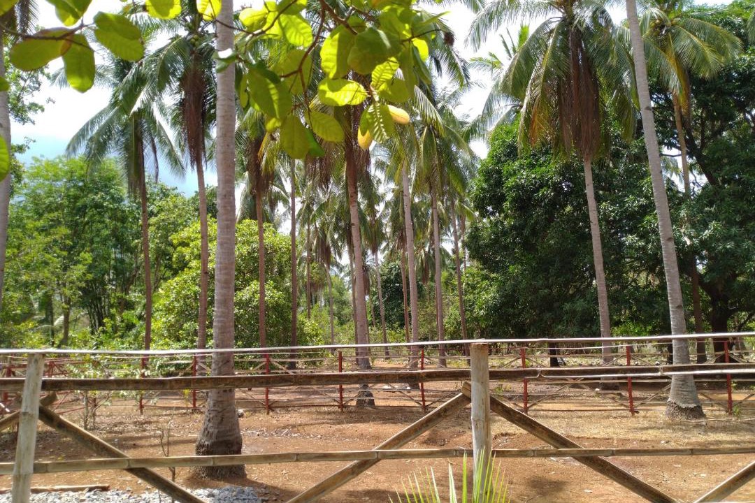 Photo of Patio Balcony in Mimaropa