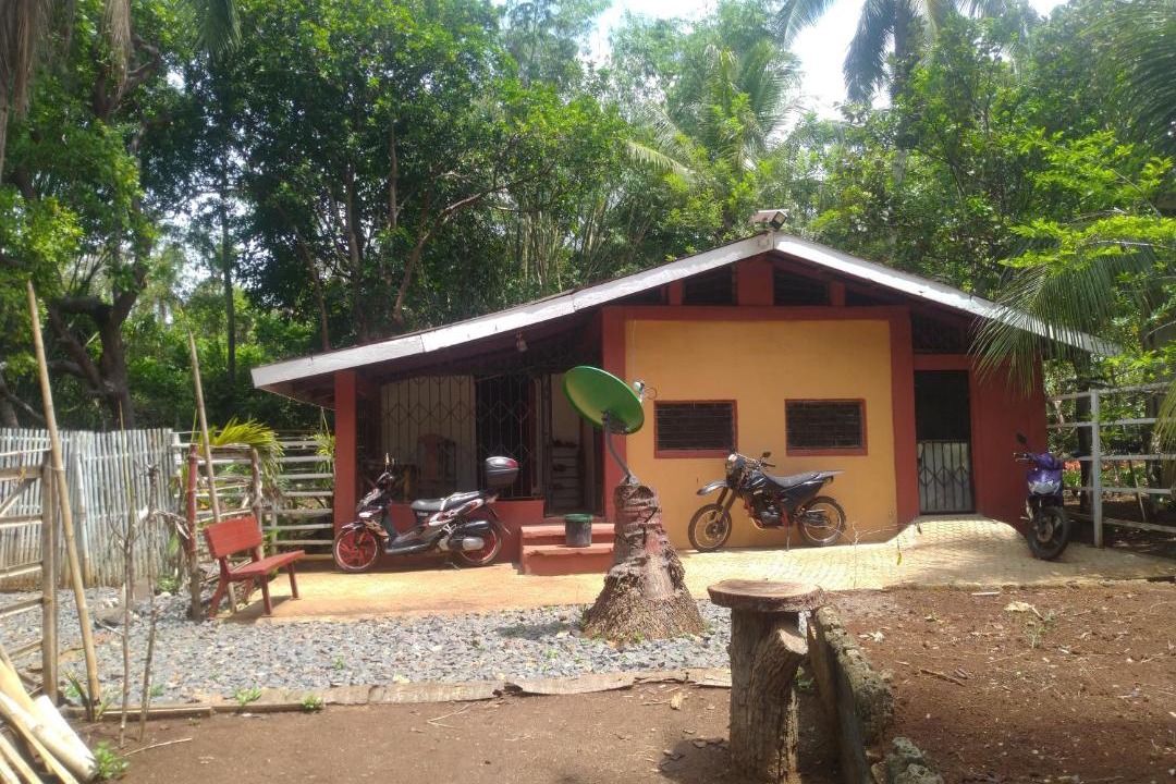 Photo of Others in Mimaropa