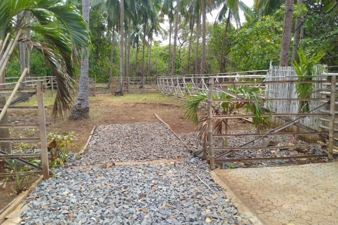 Photo of Others in Mimaropa