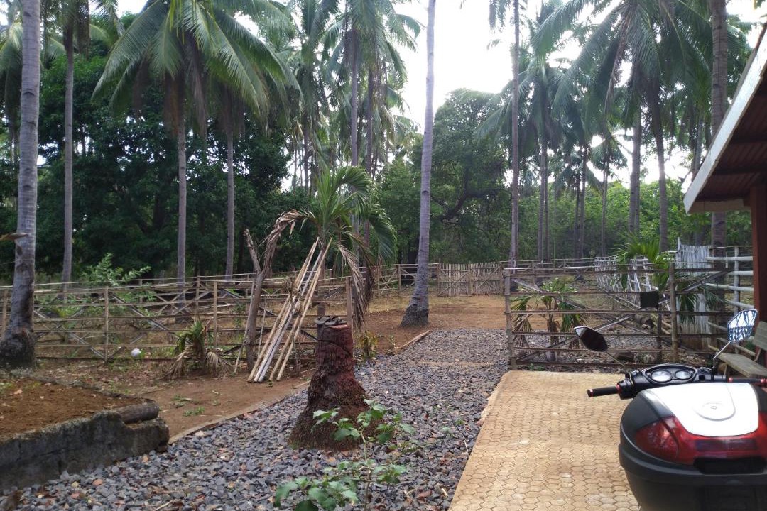 Photo of Patio Balcony in Mimaropa