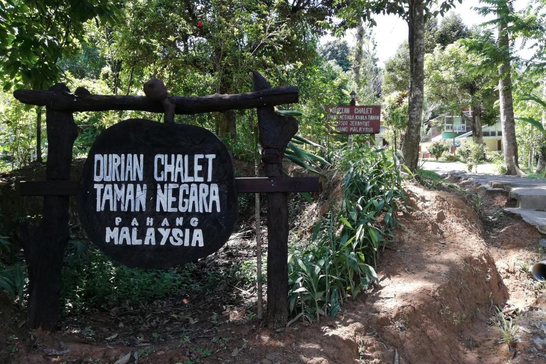 Photo of Others in Kuala Tahan