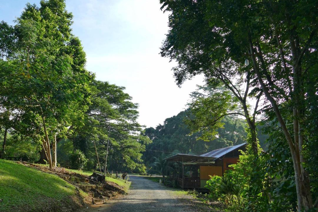 Photo of Others in Sepilok
