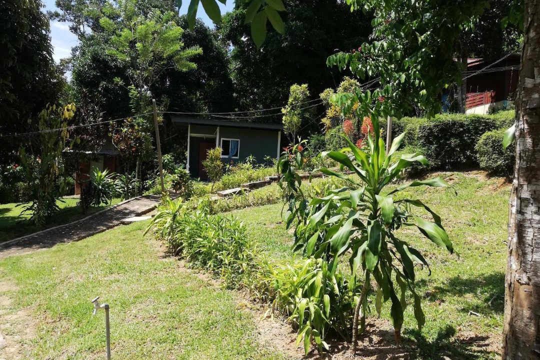 Photo of Others in Kuala Tahan