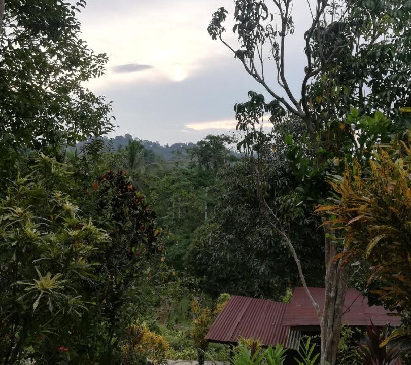 Photo of Others in Kuala Tahan