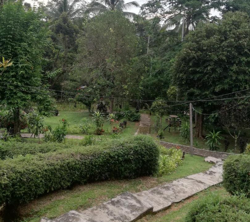 Photo of Others in Kuala Tahan