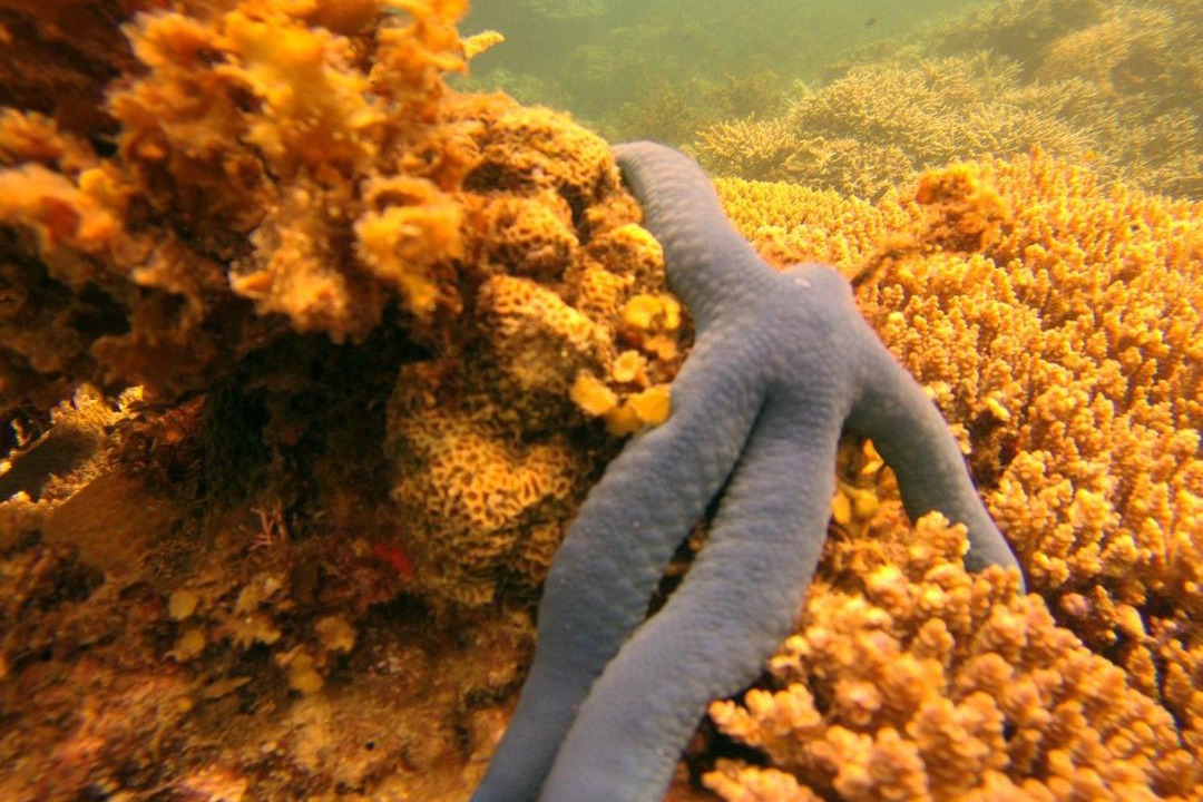 Photo of Others in El Nido